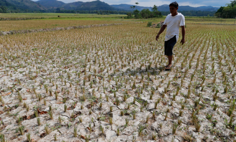 Gov t Slammed For Its callousness Over Plight Of Farmers Win Gatchalian